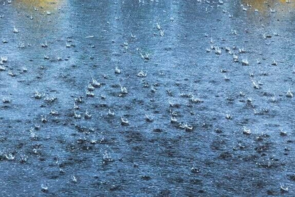 Bumpy Weather On and off stormy weather over weekend | News | rrobserver.com