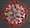 RRO coronavirus images