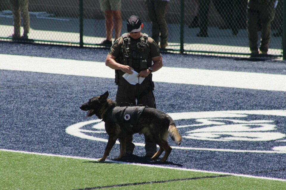 Rrpd Project Rio Rancho Stadium goes to the dogs for RRPD K9 Competition | Crime ...