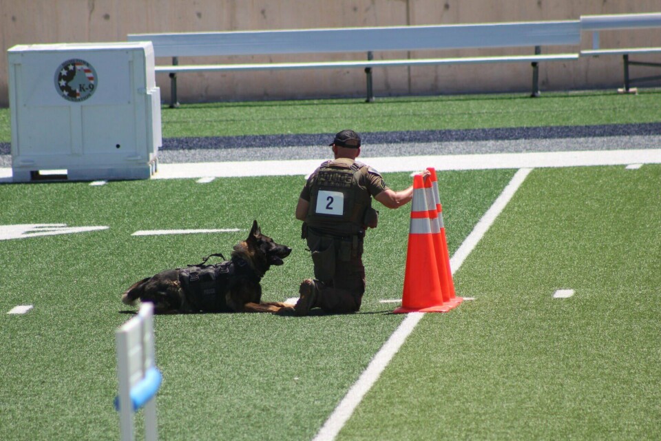 Rrpd Project Rio Rancho Stadium goes to the dogs for RRPD K9 Competition | Crime ...