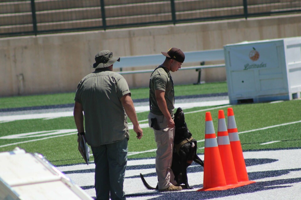 Rrpd Project Rio Rancho Stadium goes to the dogs for RRPD K9 Competition | Crime ...