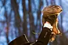 Punxsutawney_Phil_2018_(cropped)
