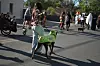 Corrales Pet Parade