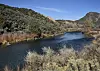 50-state study: Climate change impact in NM is the Rio Grande