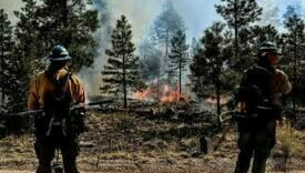 Rio Rancho Fire Rescue diverted to fire near Grants on its way to ...