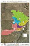 City picks redistricting Plan E1, adds Juneteenth to paid holidays ...