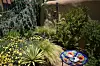 Corrales Garden Tour