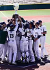 Baseball-trophy-shot_online