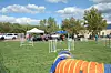 Canine agility course
