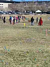 Egg hunt