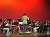 Zachary Bush leads the LMS and RRHS orchestras