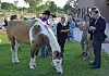 Tamaya Horseshoes & Heels Gala – Guests Meeting Rescued Horses