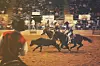 rodeo-g3f0fe2c6b_1920