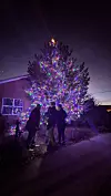 Tree Lighting