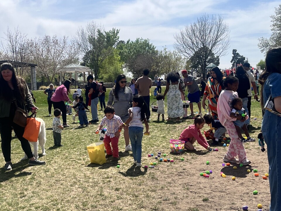 Sites of spring at Haven House Family Fun Fest