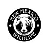 Game and Fish looks for bear wandering Corrales, West Side