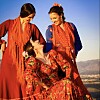 Spanish Broom: Flamenco for everyone