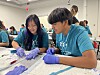 Sandoval high school students learn medicine through UNM Health Careers Academy The two-week program allowed 45 stude...