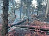 Crews work to contain fire near Placitas
