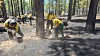 Progress made in containing McCauley Springs Fire