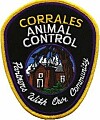 Bat tests positive for rabies in Corrales Animal Control shares tips for possible contact