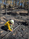 McCauley Springs closures extended though containment reaches 93%