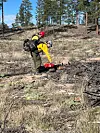 Jemez Ranger District plans prescribed burns