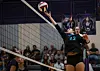 Cleveland volleyball opens season with a home sweep