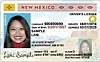 Driver's license image (copy)